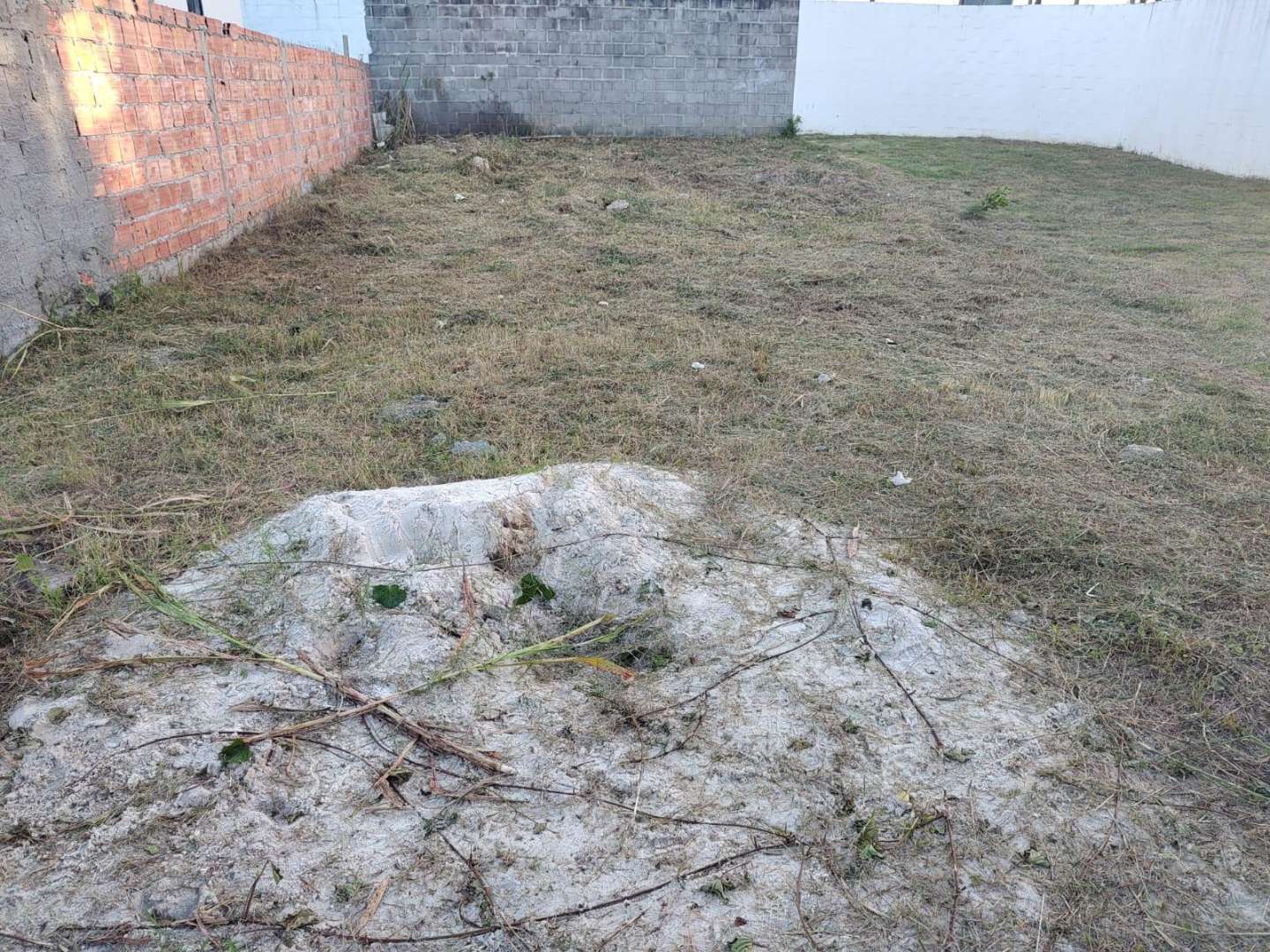 Terreno, 165 m² - Foto 8