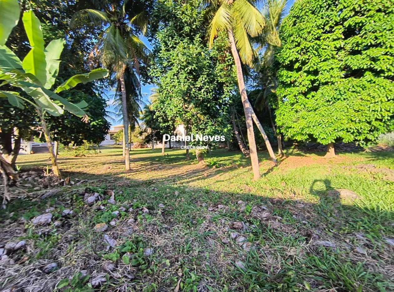 Terreno, 3645 m² - Foto 10