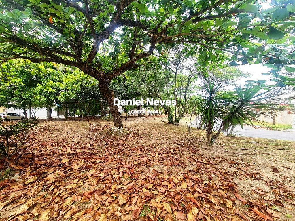 Casa, 3 quartos, 270 m² - Foto 35