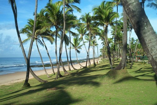 Casa, 4 quartos, 323 m² - Foto 38