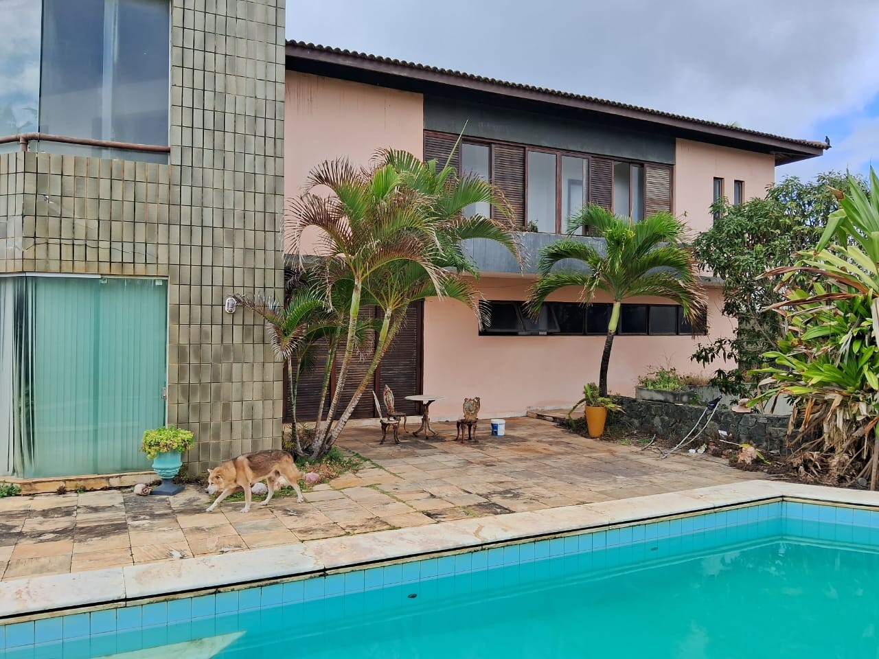 Casa, 5 quartos, 300 m² - Foto 12
