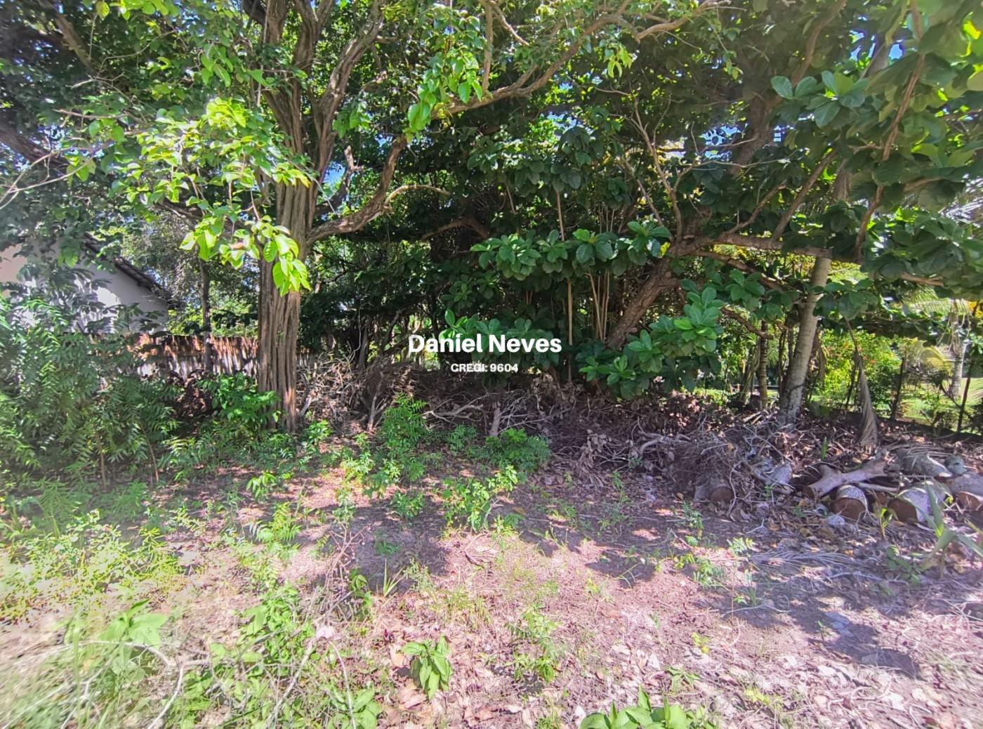 Terreno, 950 m² - Foto 4